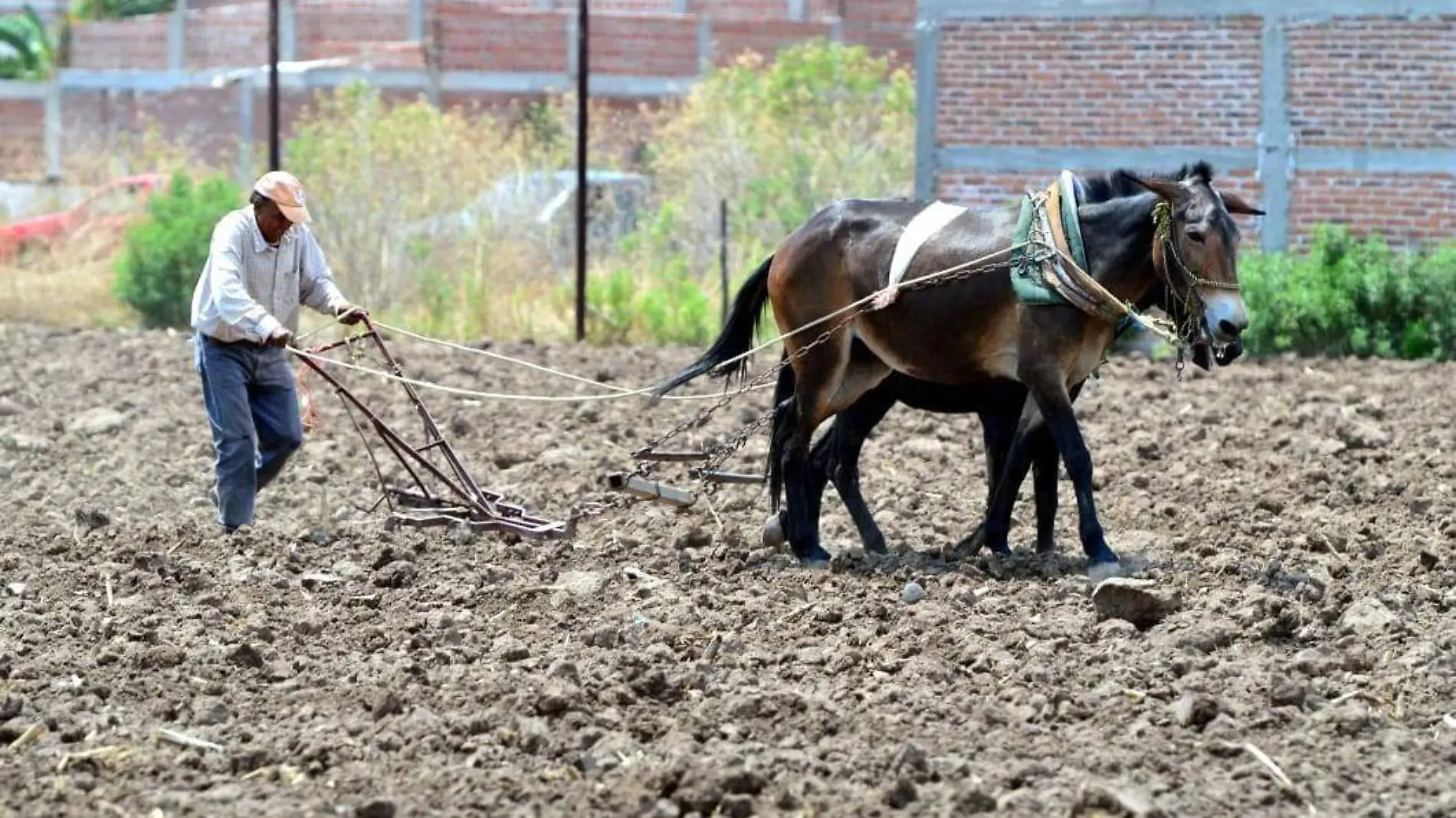 CRISIS EN EL CAMPO